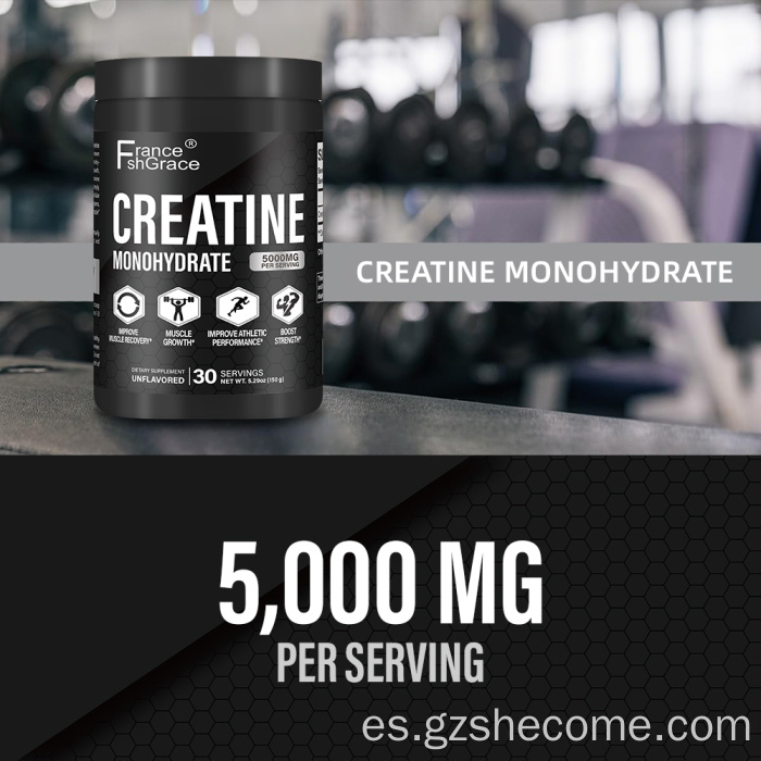 Soporte muscular en polvo de monohidrato de creatina Shecome